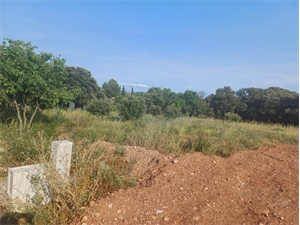 terrain à la vente -   34800  CANET, surface 613 m2 vente terrain - UBI474982436